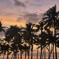 Фото отзыва 2: экскурсия "Бохол: волшебство природы"