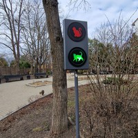 Фото отзыва 3: экскурсия ""