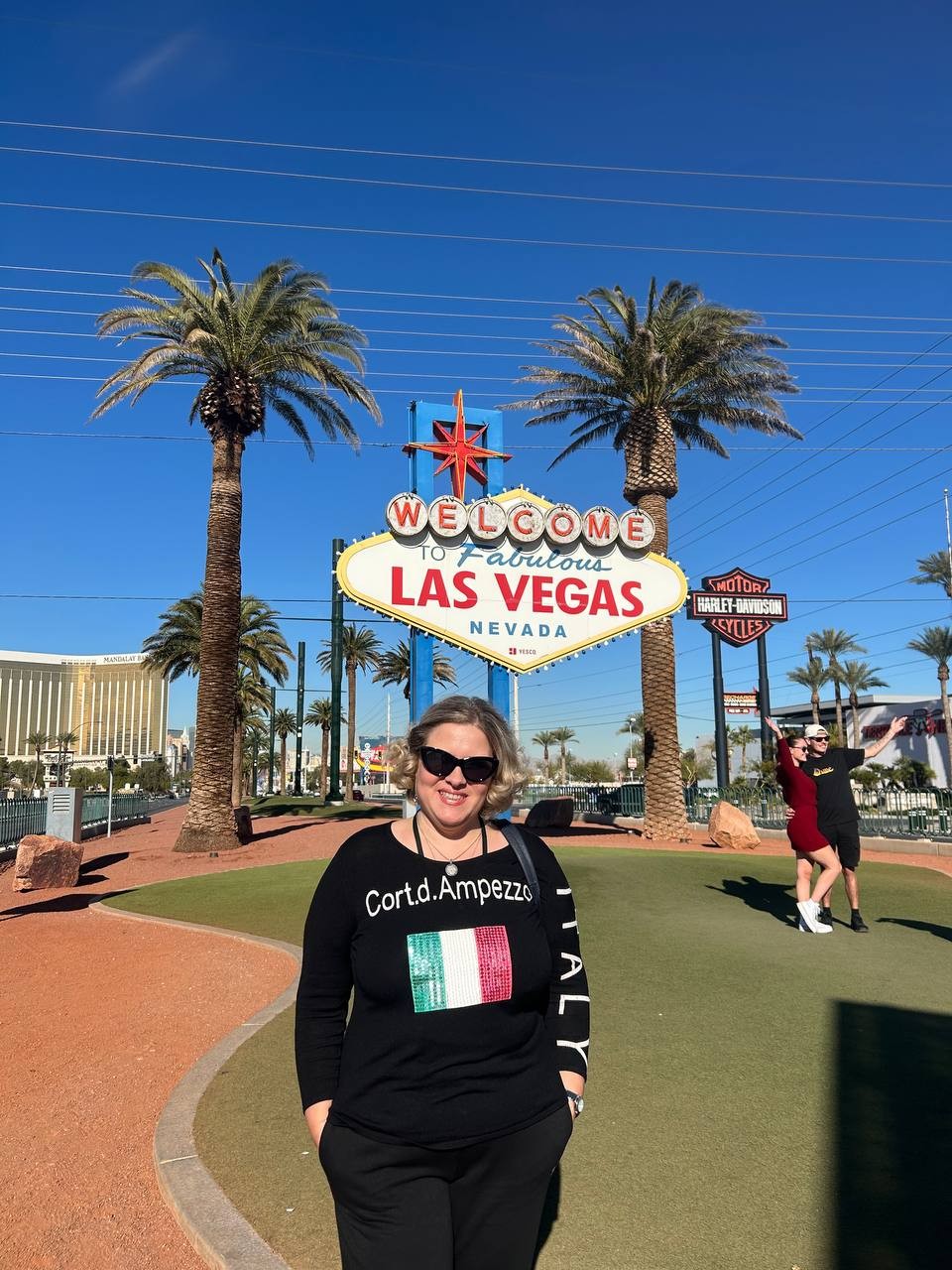 Виктория - это прекрасный гид. Профессионал с большой буквы. Кроме безупречной подачи информации туристам об объектах