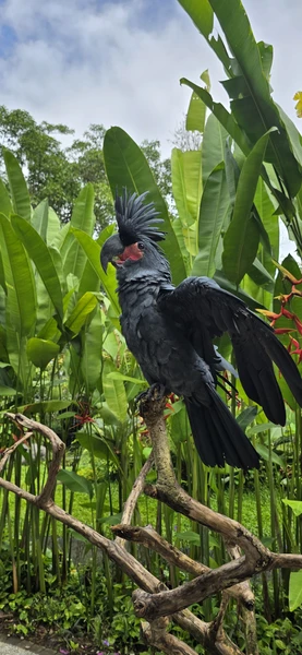 Экскурсию вел Абу. Отлично знает русский язык, с отличным чувством юмора, все подробно показывал и рассказывал