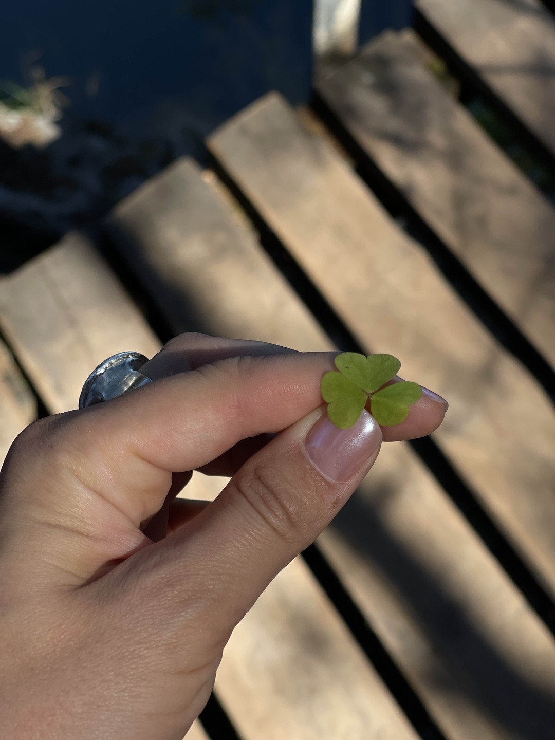 Екатеринбург и династия Романовых (Александра)
