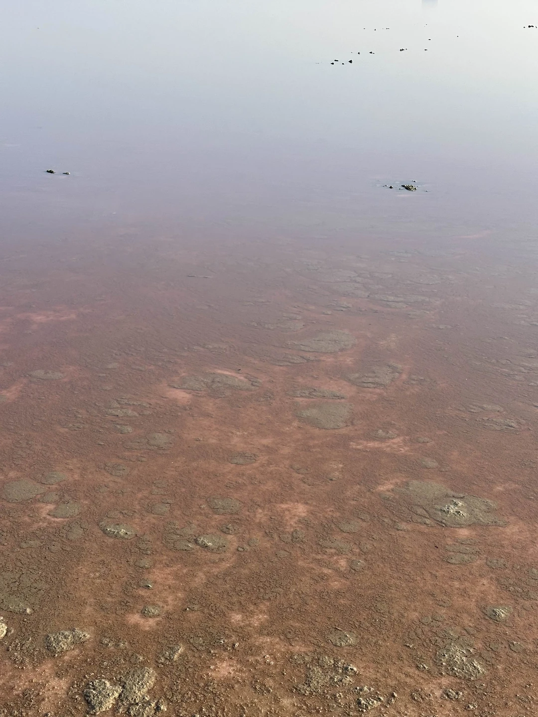 Потрясающая экскурсия! Большое спасибо гиду Идрису за подробные рассказы и ответы на вопросы) в ноябре очень