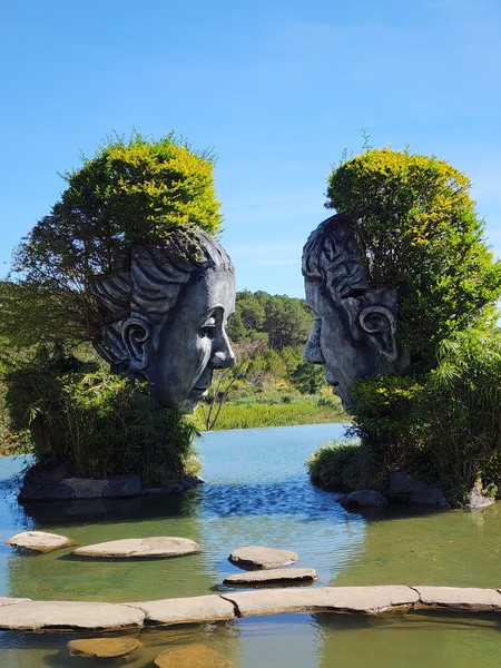 Далат на максимум (из Нячанга) (Алёна)