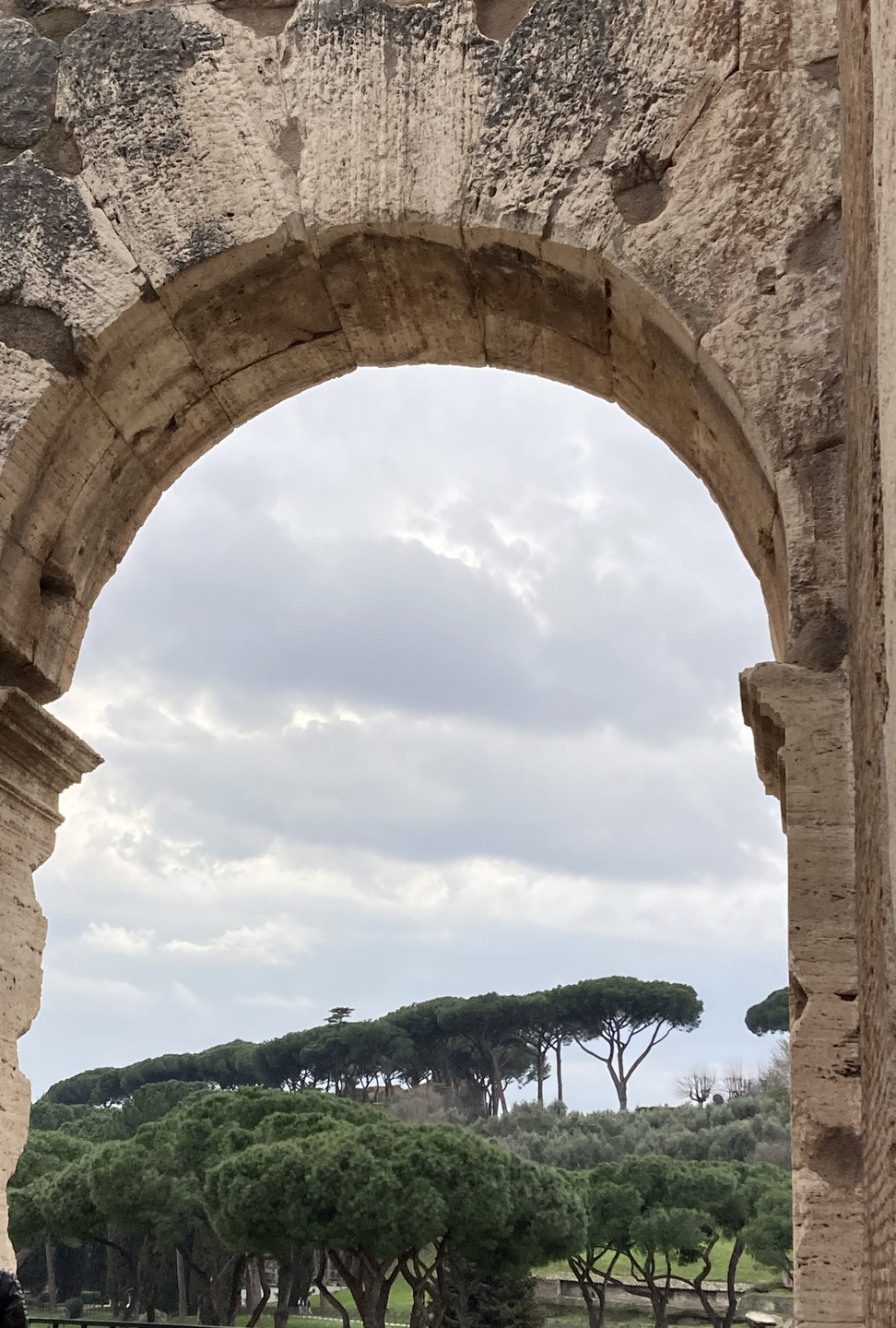 Очень довольны экскурсией-квестом по Колизею для детей! Идеально организовано, глубокие знания экскурсовода, Ольги! Ольга быстро наладила