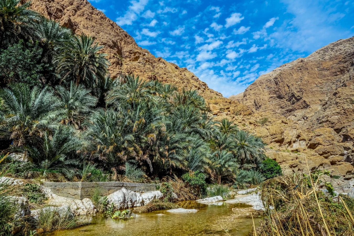 Каньон Вади-Шаб и секретное озеро (из Маската)