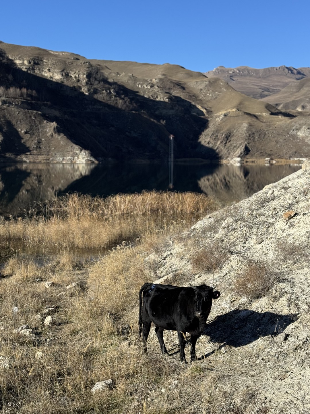 Отравилась на завтраке на первой остановке. Думаю, что не продуктами, а грязные приборы или что-то еще