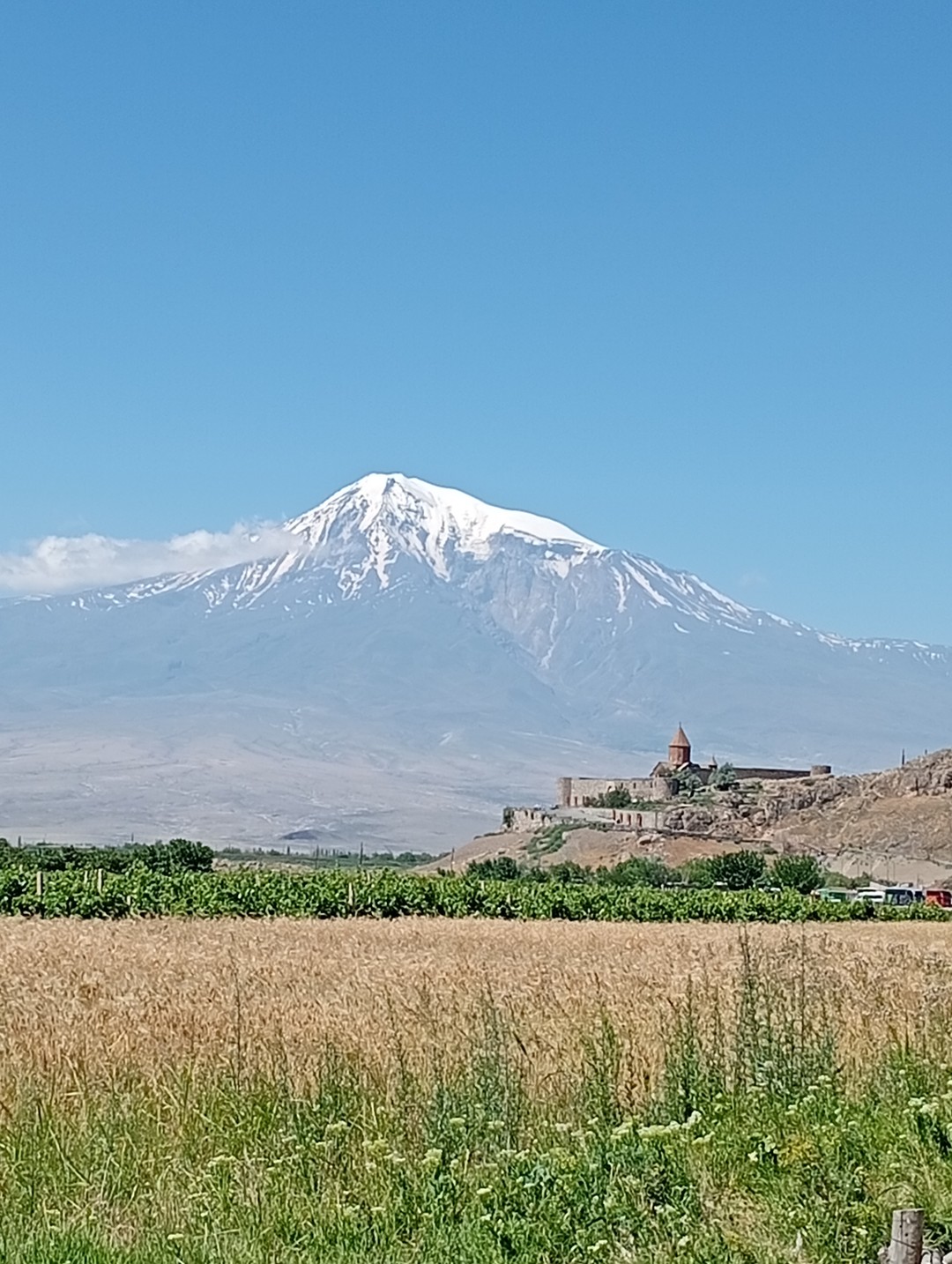 Арарат, Арени и Нораванк - дороги, пропитанные солнцем (Марина)
