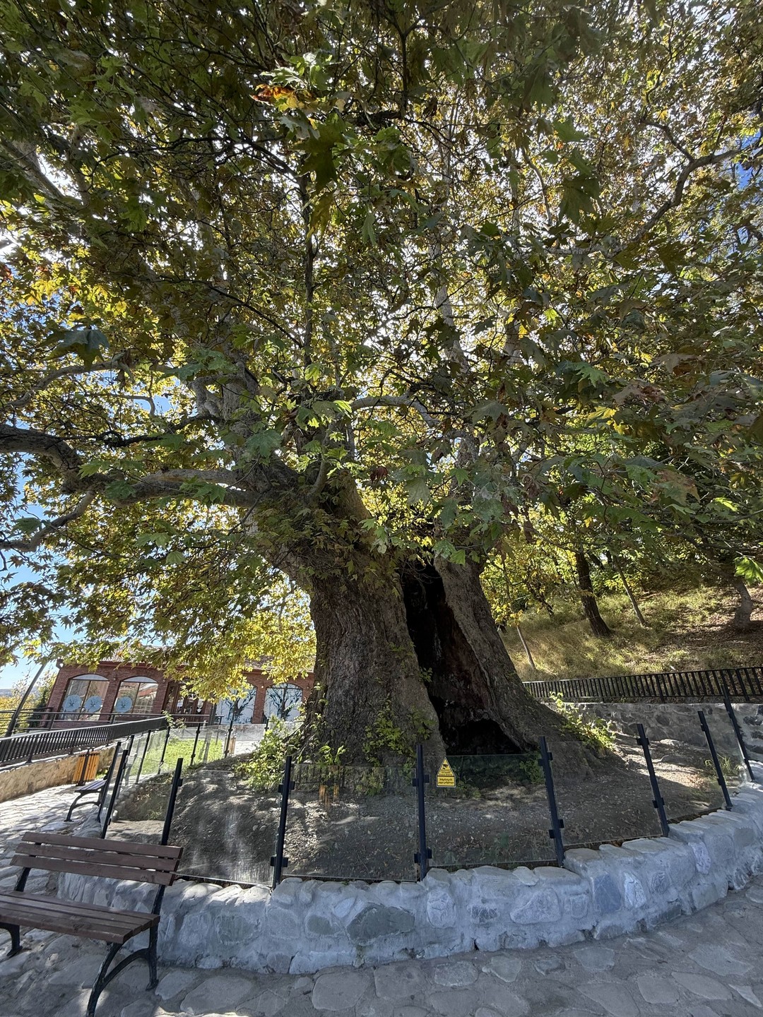 Это была вторая моя экскурсия с организатором Галиной. В этот раз экскурсовод был другой-Анна. Экскурсия более