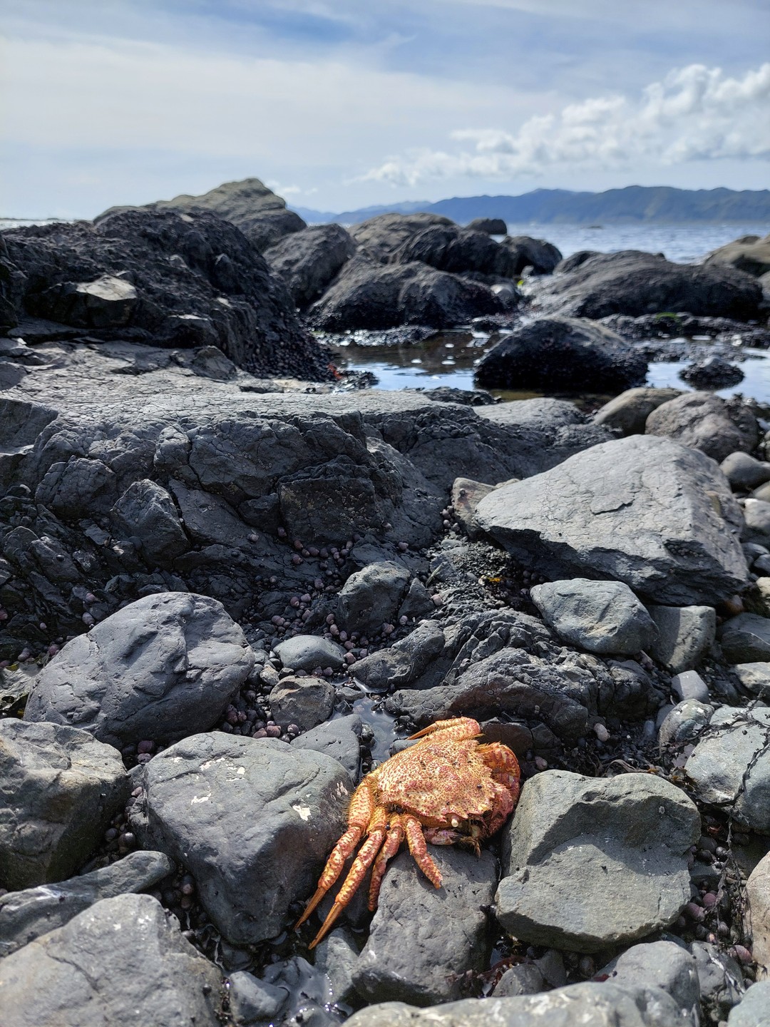Это был невероятно красивый и вкусный день! Спасибо Ивану и Алексею