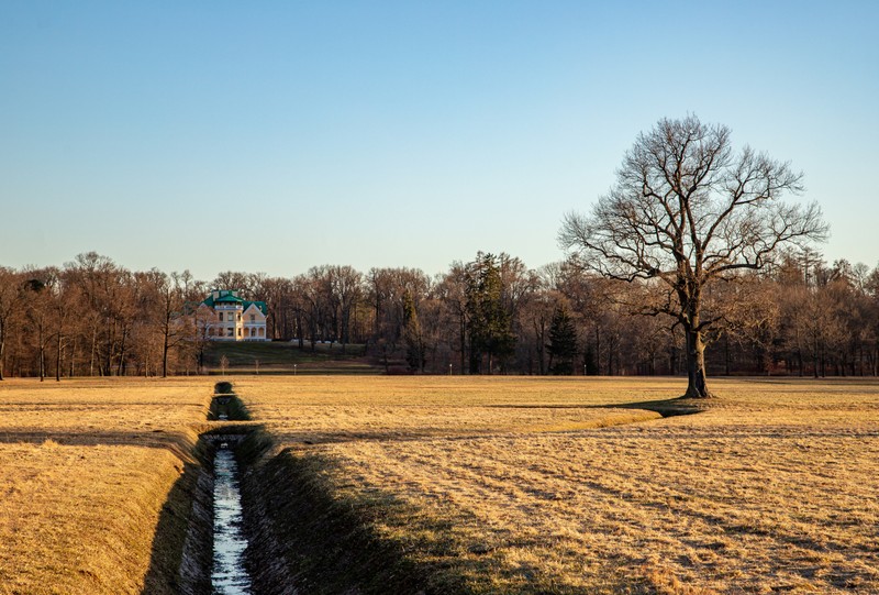 Утончённая Александрия: камерное путешествие из Петербурга