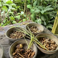 Фото отзыва 2: экскурсия "Сердце Бали: живописные плантации, парк птиц и краски Убуда"