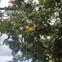Отзыв о экскурсии "В Дагестан за видами и вкусами: топовые локации и национальная кухня" — фото 5