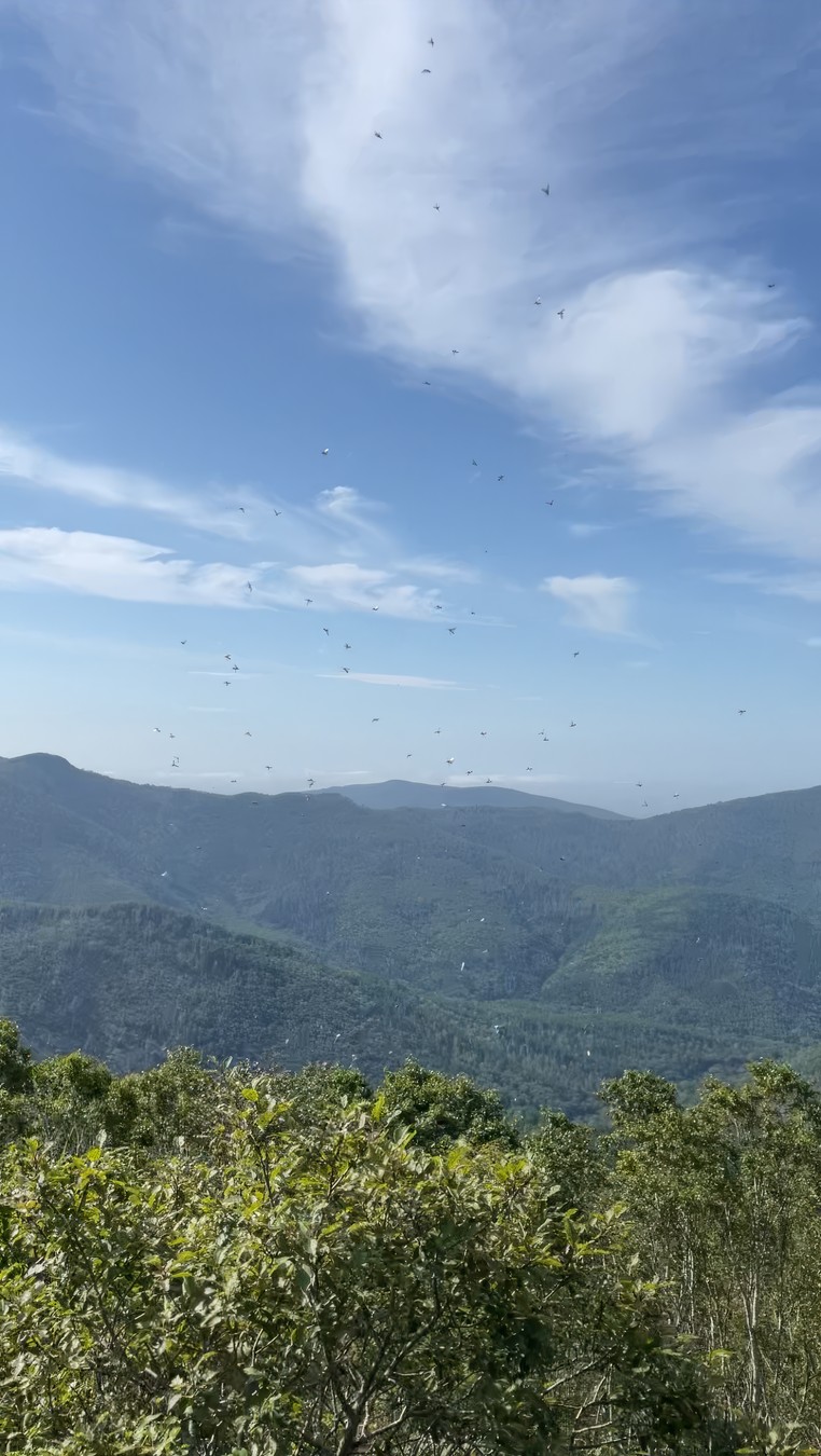 Фото Пик Чехова — на вершину Южного Сахалина