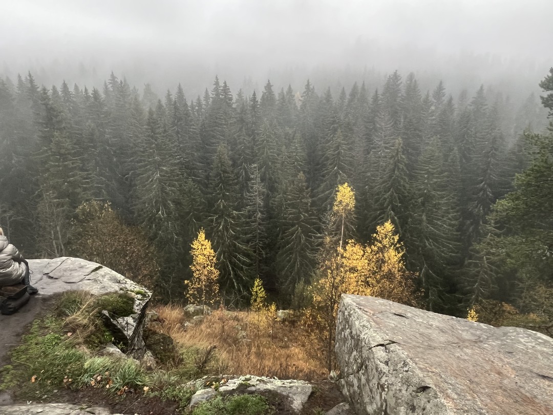 Потрясающее погружение, а не развлекательный спектакль. Отвечаю скептиками