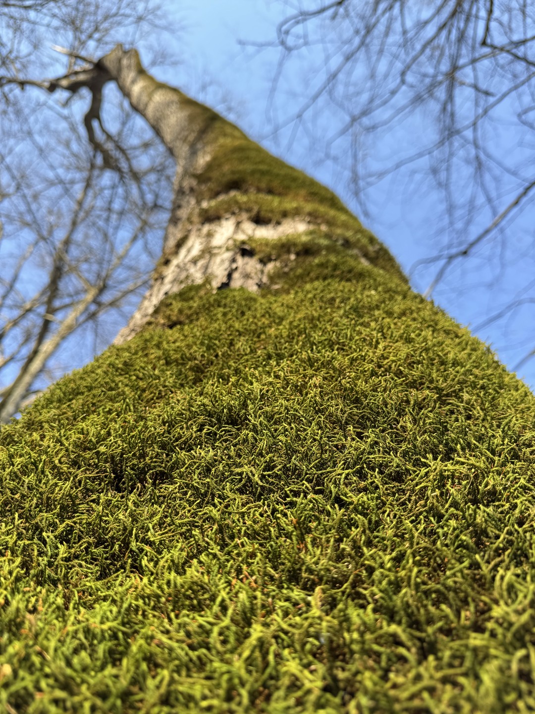 Все было просто замечательно, Жанна написала сразу же после бронирования, потом накануне поездки, предупредила, что для