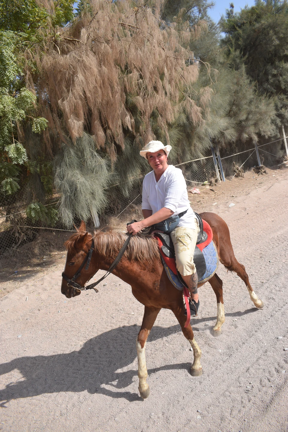 Первый раз напишу негативный отзыв, но предупредить желающих заказать именно эту экскурсию считаю нужным. Заранее прошу