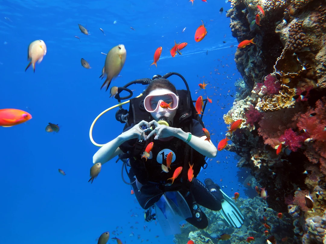 Мы в восторге. Очень понравился гид и команда. Прочувствовали весь местный колорит) Брали 1 погружение с