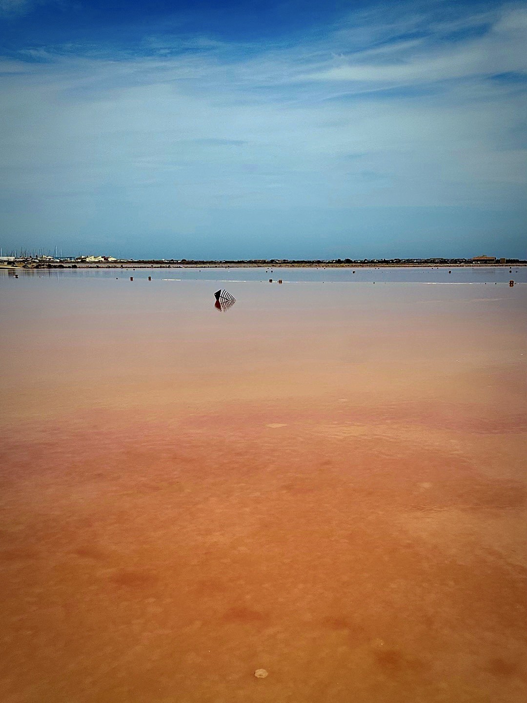 Отличный день! Кирилл интересный рассказчик. Вкусный обед