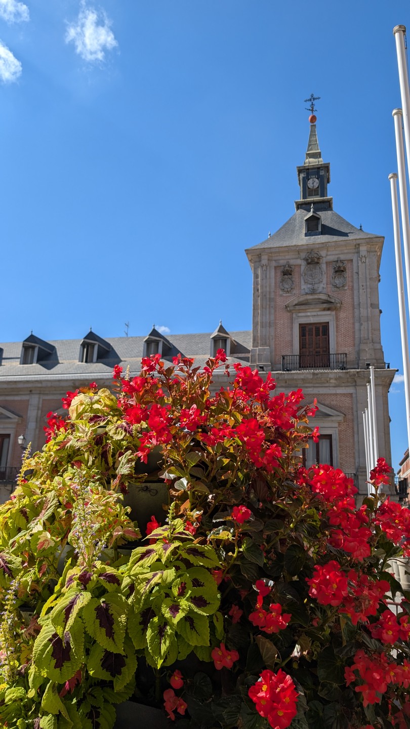 Мадрид - солнечные ворота Европы (Татьяна)