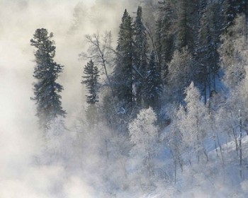 Хаски, Камышлинский водопад и традиции Алтая