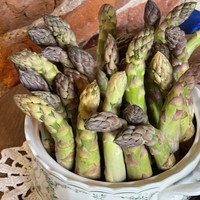 Фото туриста Марина 9 - Орденские замки: по следам покорителей пруссов