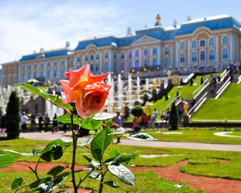 Свободный день или экскурсия на выбор