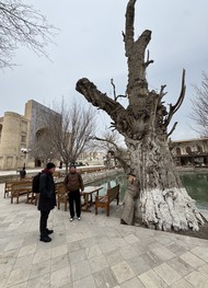 Фото отзыва 1: экскурсия "Главное в Бухаре — за 1 день"