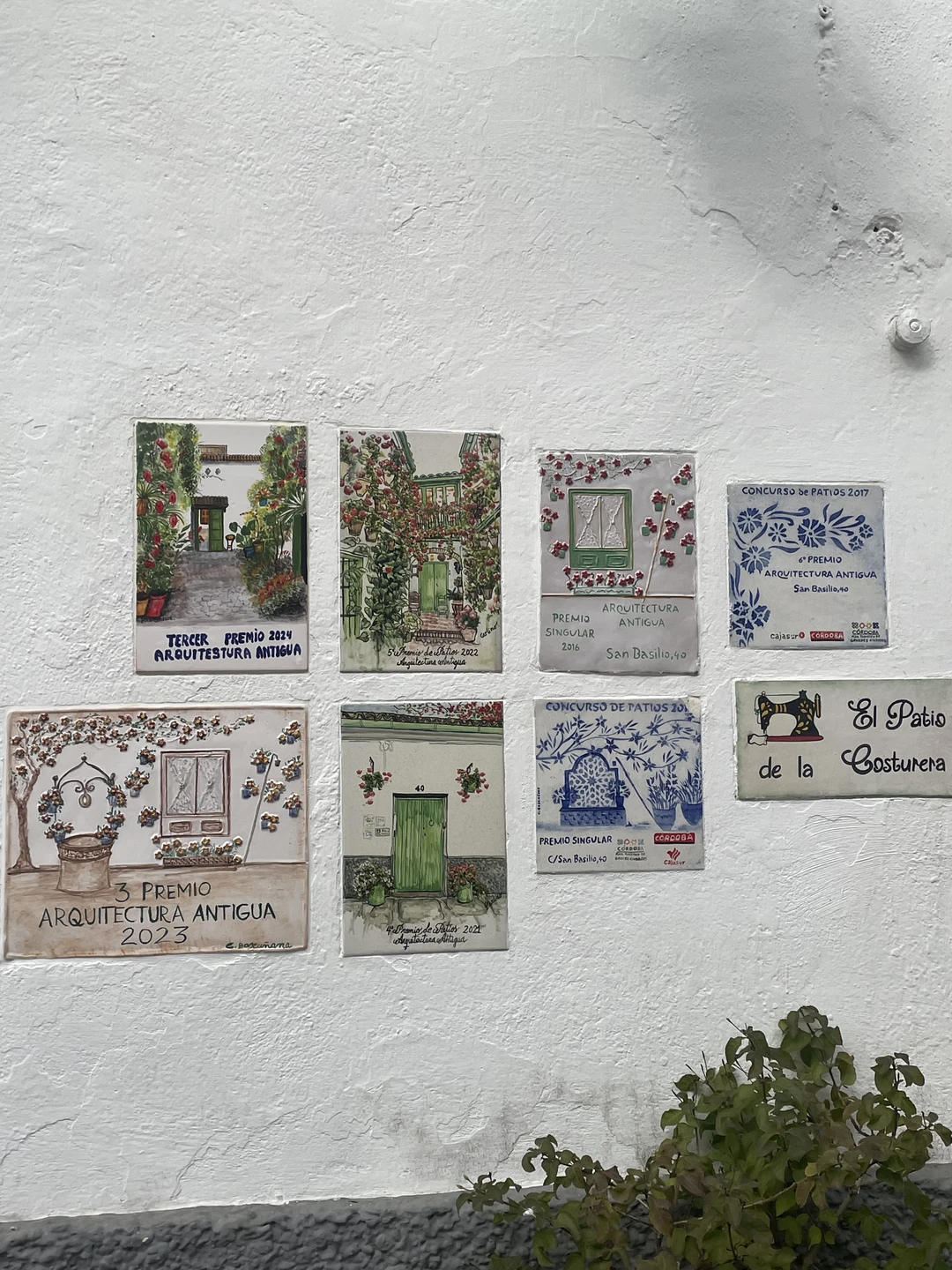 Потрясающая экскурсия и потрясающий гид! Все очень легко и интересно