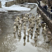 Фото отзыва 2: экскурсия "Добро пожаловать в Кисловодск!"