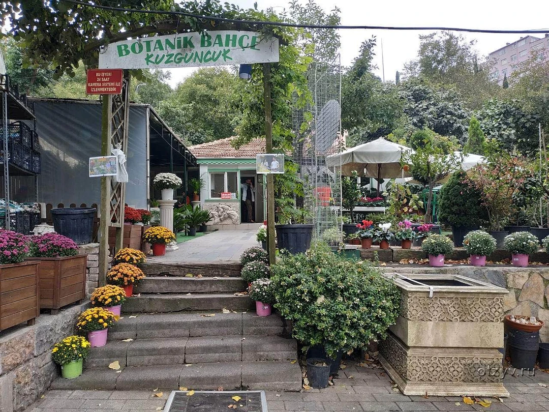 По следам турецких сериалов в Стамбуле (Анна)