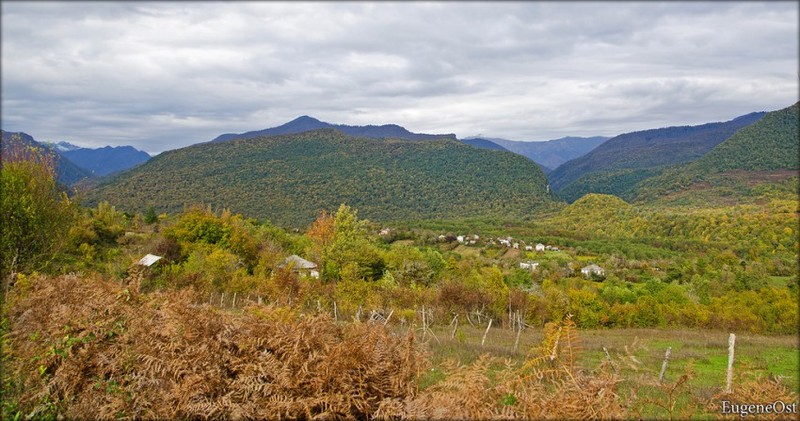 Дикая природа Абхазии