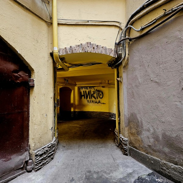 Виды Увидеть не-Невский