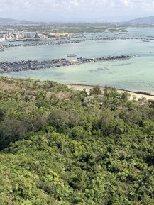 Фото отзыва 3: экскурсия ""