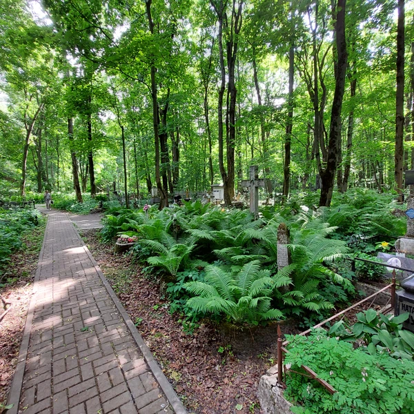 Виды Святыни и чудеса Смоленского кладбища