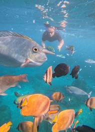 Фото отзыва 3: экскурсия "Нуса Пенида: путешествие по&nbsp;острову + снорклинг"