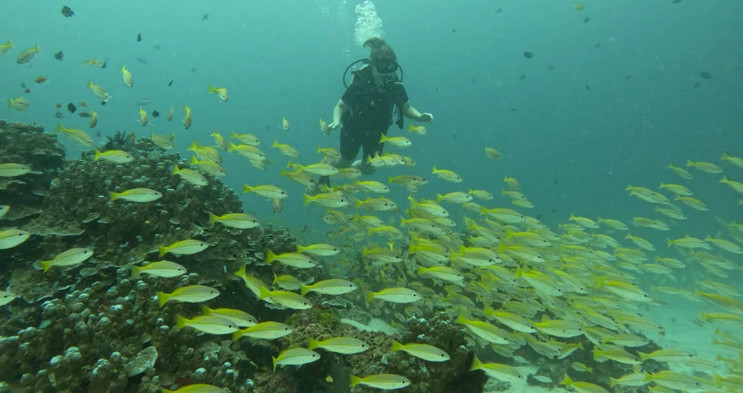 Дайвинг-приключение в Таиланде (Дарья)