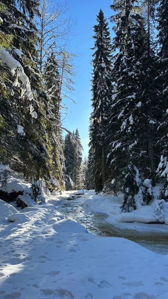 Все прошло очень хорошо, экскурсия насыщенная, дорога долгая, но это того стоит. Обязательно вернусь еще в теплый период. Спасибо!