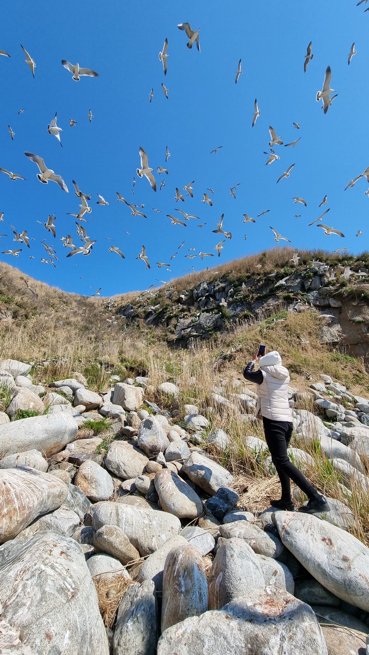 Из Владивостока на авто и катере — к тюленям! (7/23)