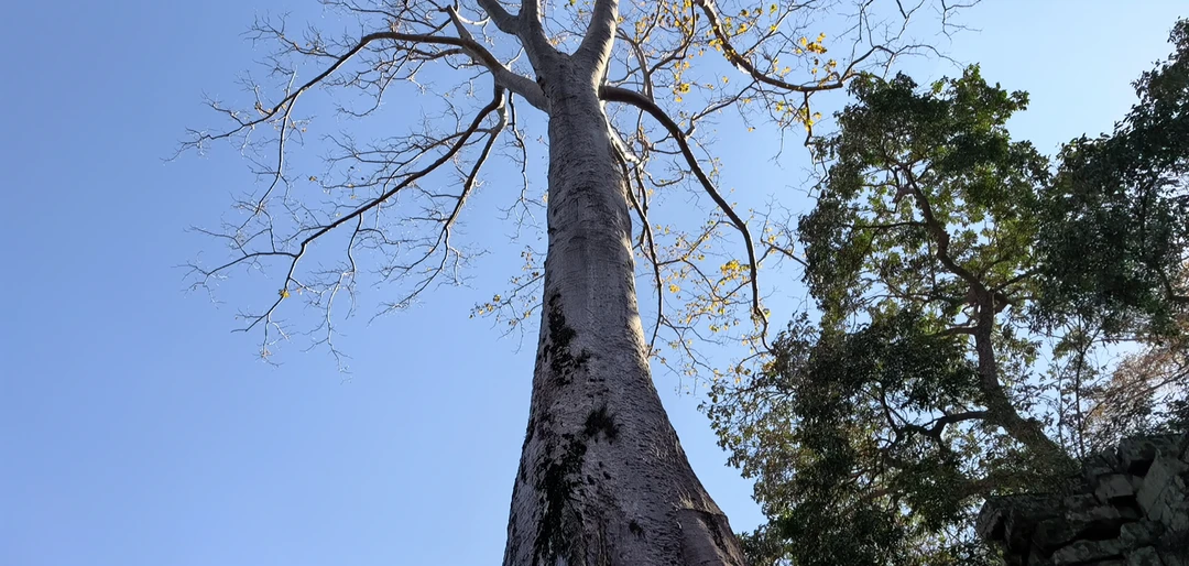 Экскурсия супер и сама по себе и по организации. Большое спасибо Татьяне и мистеру Сараченту за