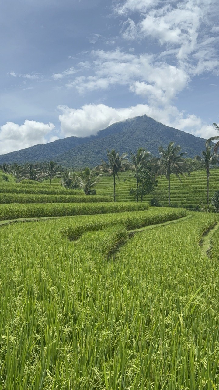 Мы семьей были на экскурсии с Дви. Провели замечательный и познавательный день Много шутили, смеялись, успели
