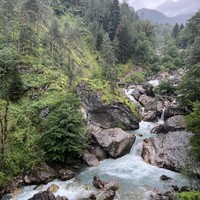 Фото отзыва 2: экскурсия "Гегский водопад + озеро Рица и многочисленные красоты Абхазии"