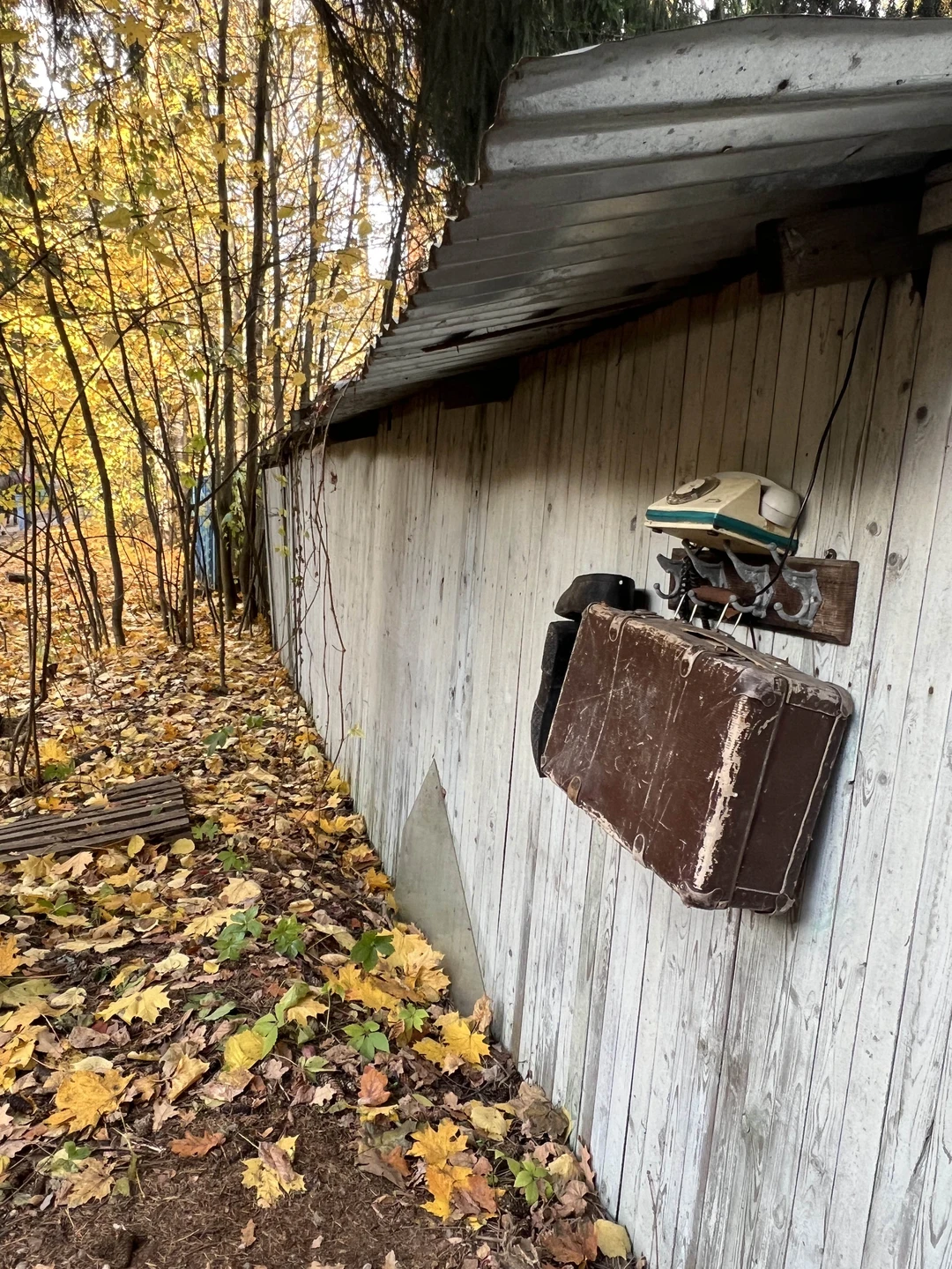 Посетили экскурсию в Переделкино. Прогулка получилась очень живая, наполненная интересных, глубоких и часто очень впечатляющих историй