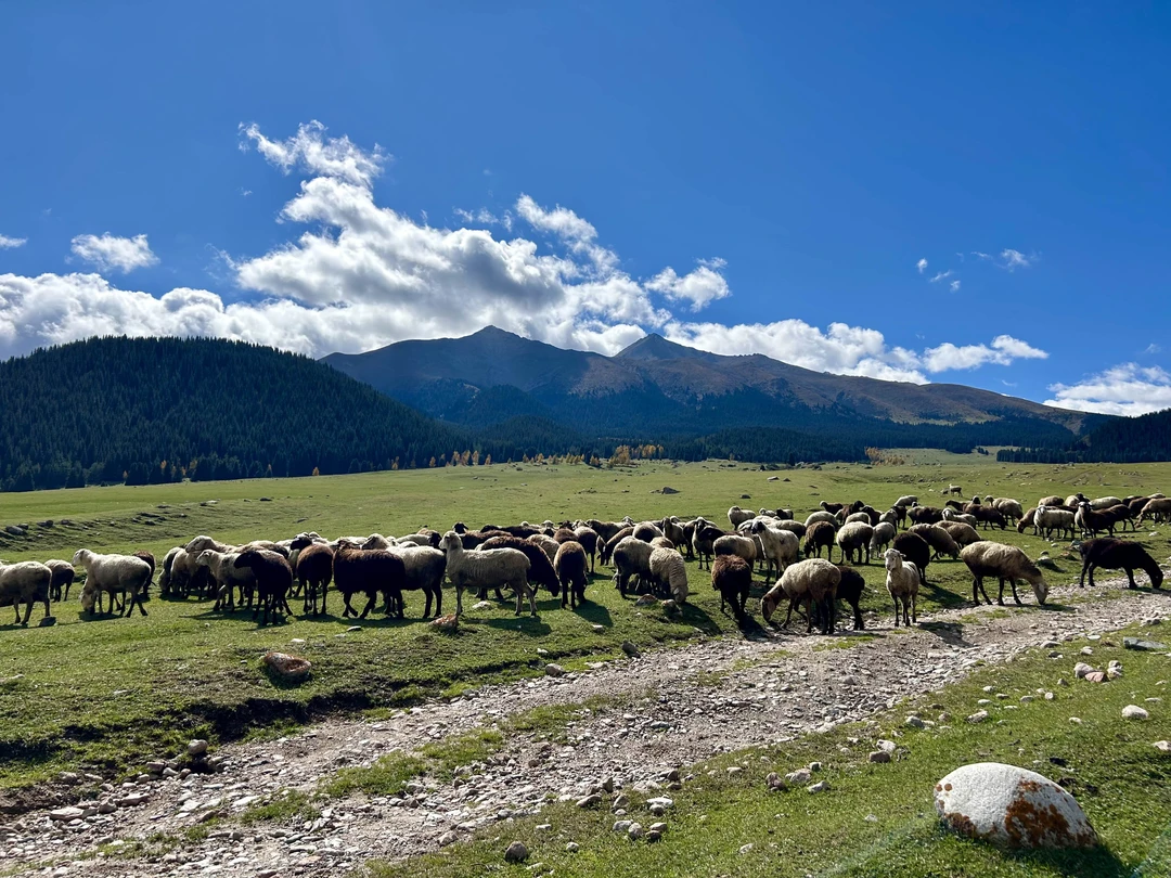 Спасибо большое! Очень интересно и информативно