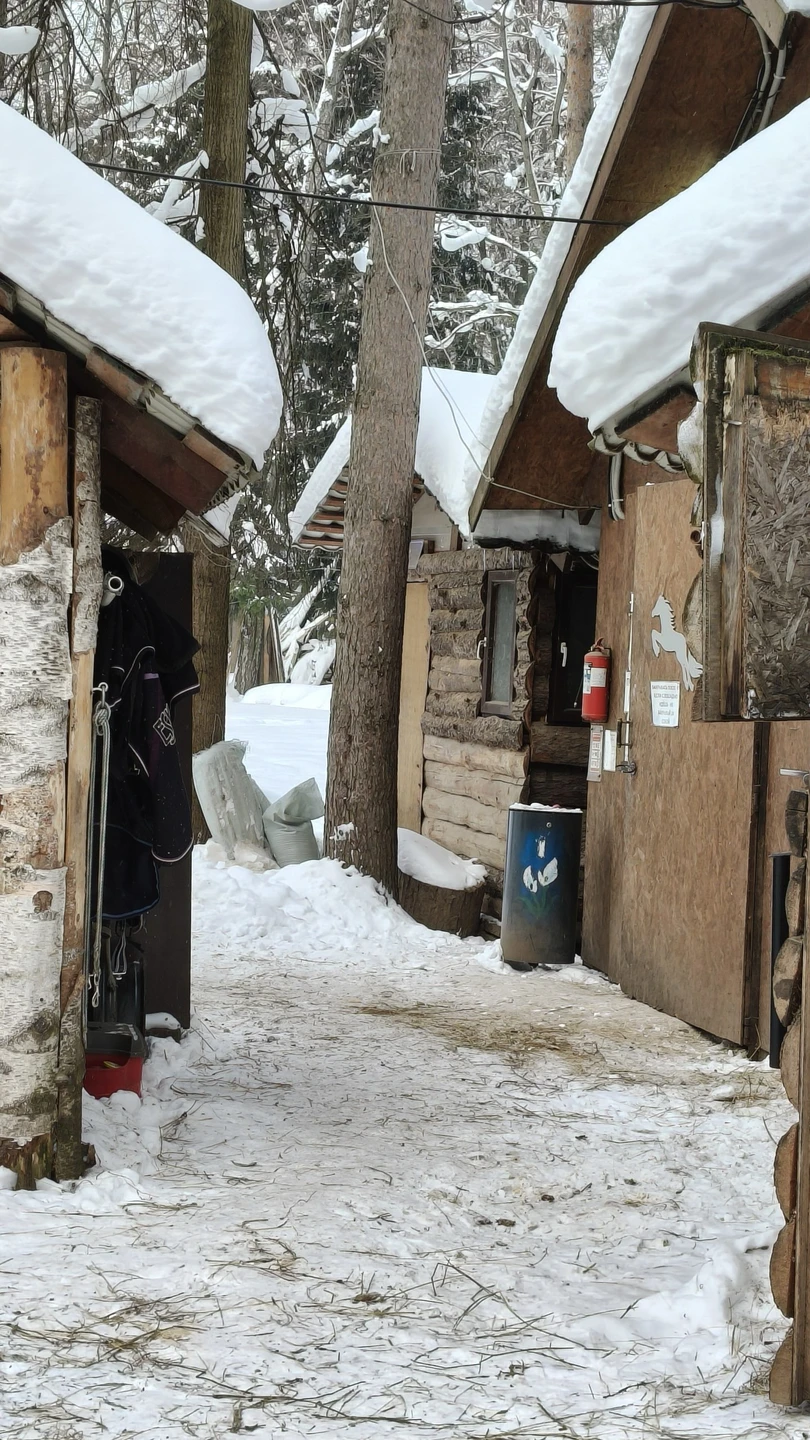Василиса-прекрасный рассказчик, вовлекающий в чудный мир коней! Столько всего о лошадях я никогда в жизни не слышал. Было весьма интересно