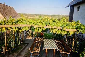Финальная дегустация на винодельне BJB Lago Winery