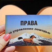 Фото отзыва 3: экскурсия "Активный день в окрестностях Кисловодска: зиплайн, Медовые водопады"