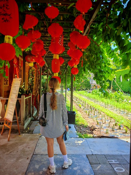 Очень интересная обзорная экскурсия по Нячангу посетили интересные места узнали быт местных и их историю. И