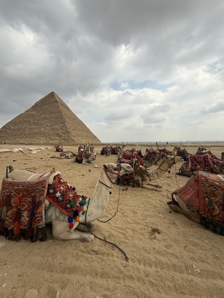 Путешествие 3 в 1: Каир, пирамиды и Саккара (Иванова)