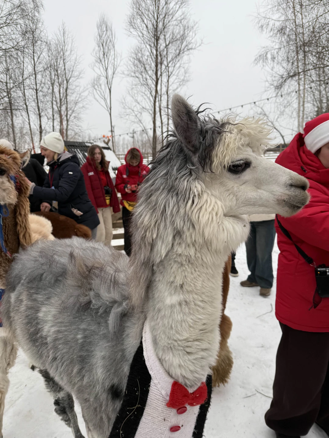 Мы благодарим команду в лице Владислава за прекрасную экскурсию! За интересную и содержательную прогулку по острову!