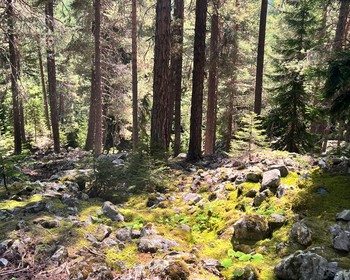 Ледник Чалади и озёра Курульди